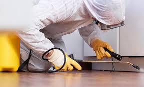 Real Estate Pest Inspections in Miami Heights, OH